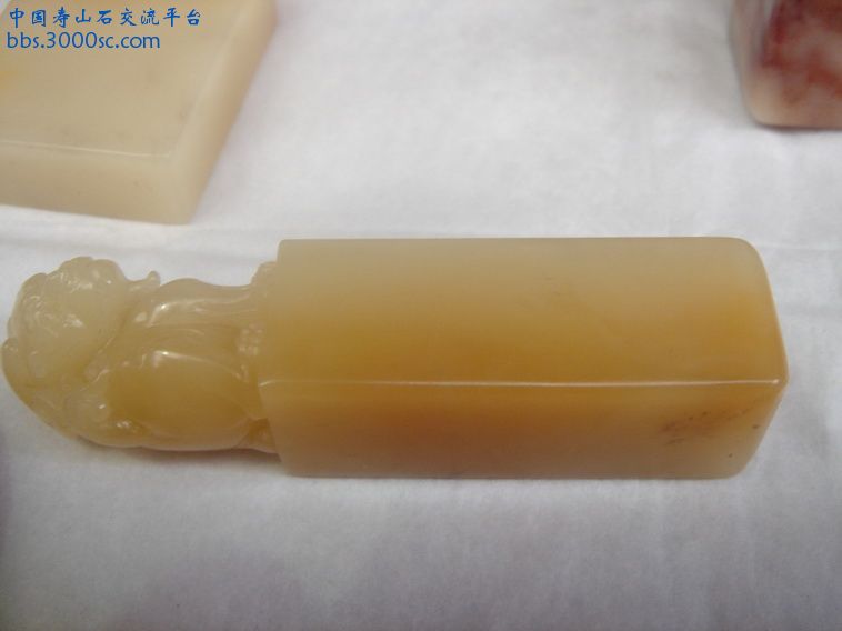 DSC09894_调整大小.JPG
