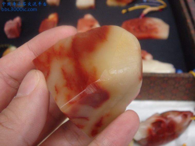 DSC09886_调整大小.JPG