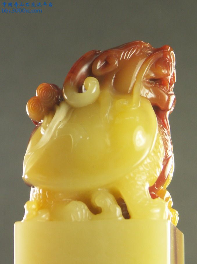 64f.JPG