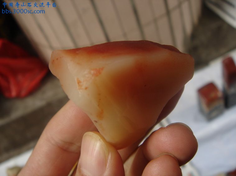 DSC00070_调整大小.JPG