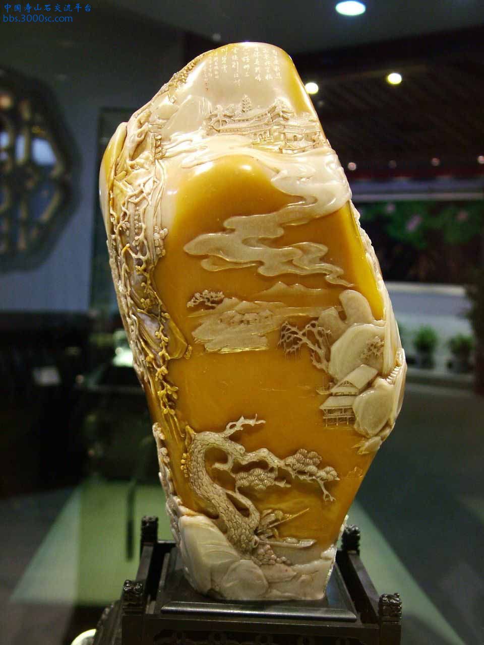 74.jpg