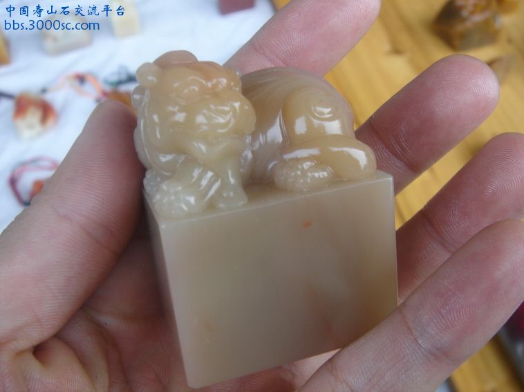 DSC01174_调整大小.JPG