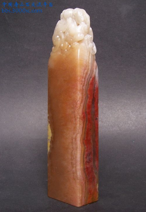 照片 12422.jpg