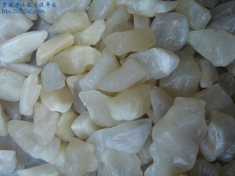 DSC01669_调整大小.JPG