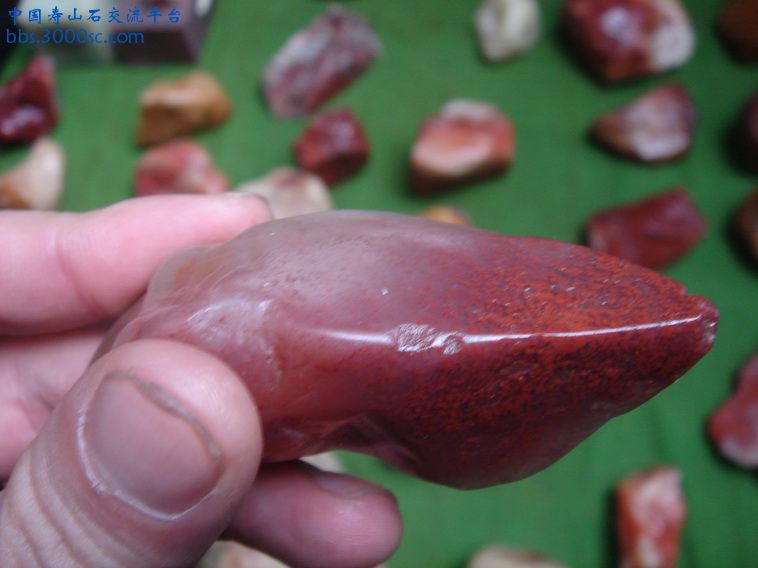 DSC02449_调整大小.JPG
