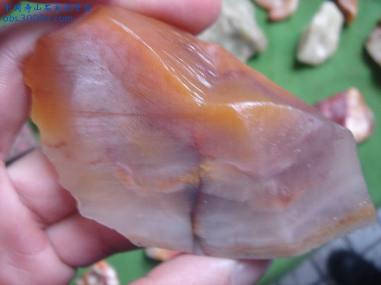 DSC02612_调整大小.JPG
