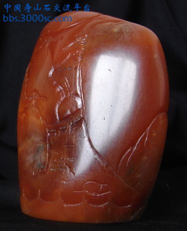 RIMG0084.JPG