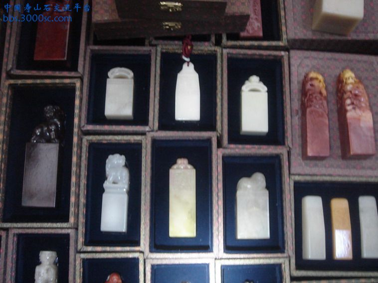 DSC02706_缩小大小.JPG