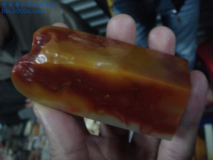 DSC03489_调整大小.JPG