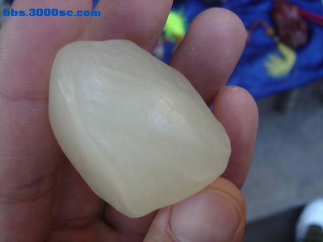 DSC08160.JPG