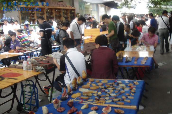DSC09914_调整大小.JPG