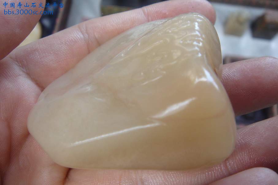 DSC09922_调整大小.JPG