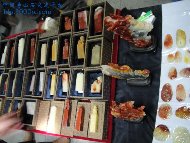 DSC00940.JPG