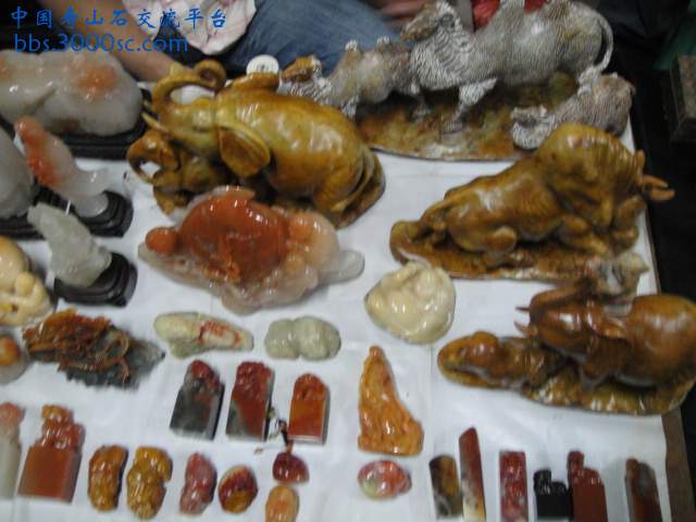 DSC00976.JPG