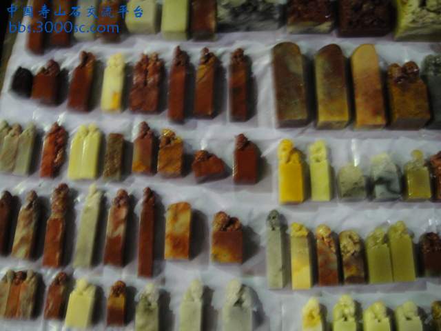 DSC00988.JPG