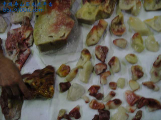 DSC01068.JPG