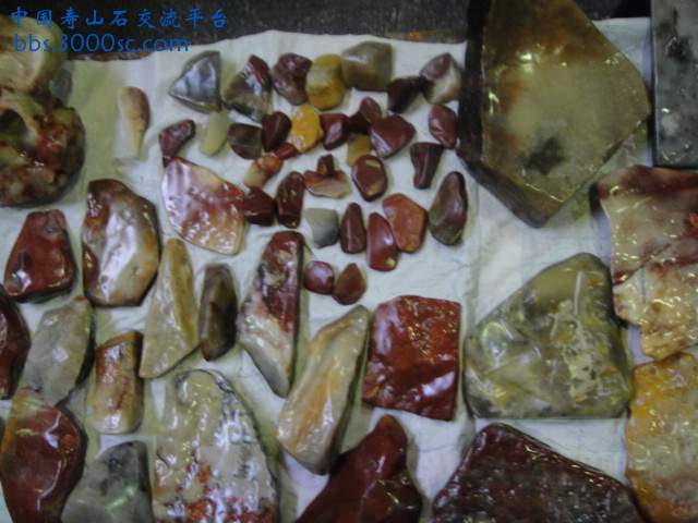 DSC01072.JPG