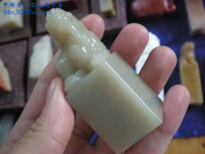 PA180042_调整大小_调整大小.JPG