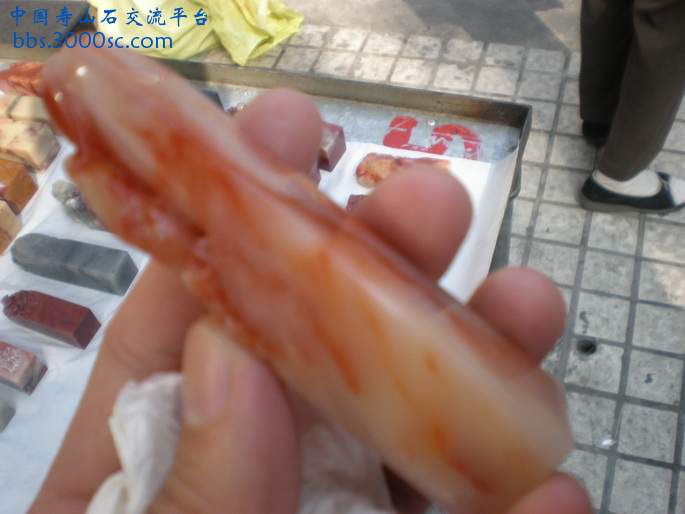 PA180082_调整大小_调整大小.JPG