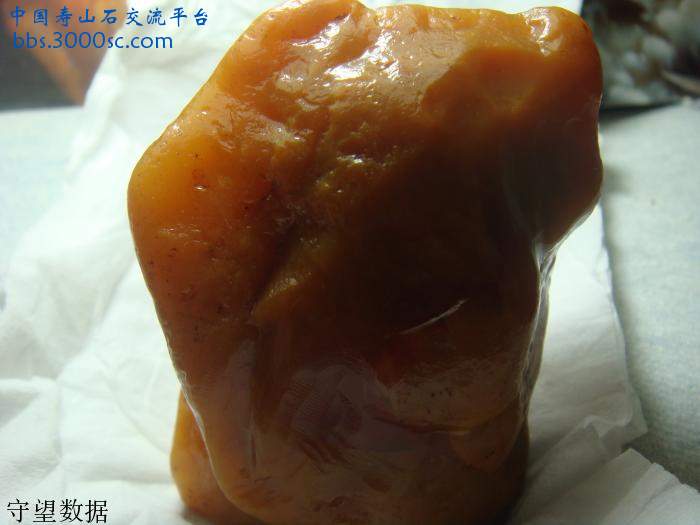 DSC01065.JPG