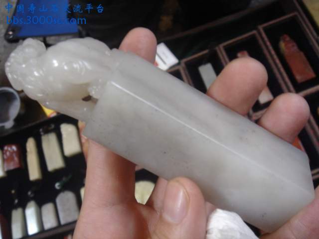 DSC03117.JPG