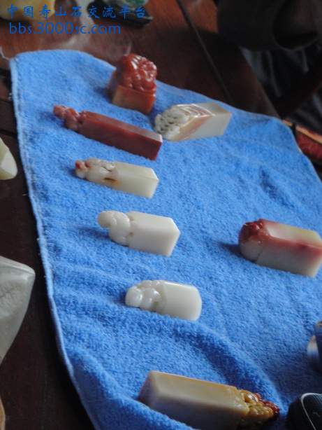 DSC03106_调整大小.JPG