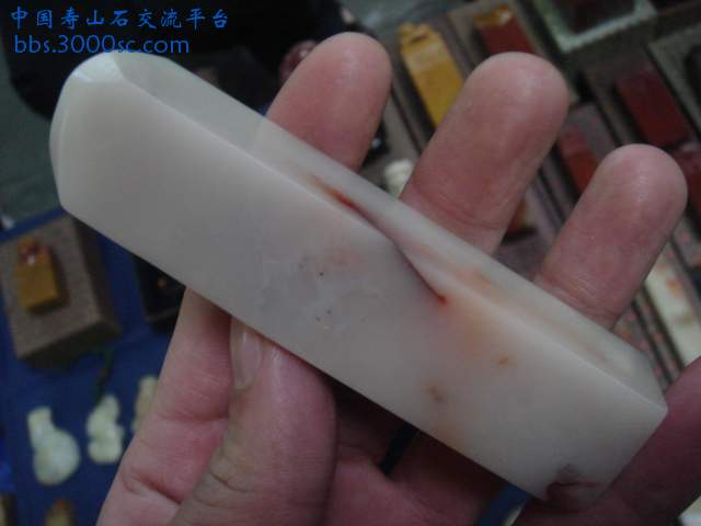 DSC04115.JPG