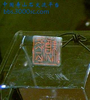 SUC38716b.jpg