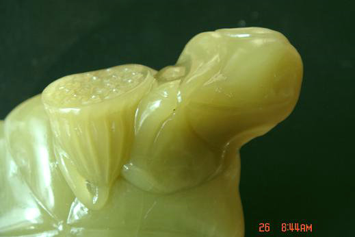 DSC03926_副本_副本.JPG