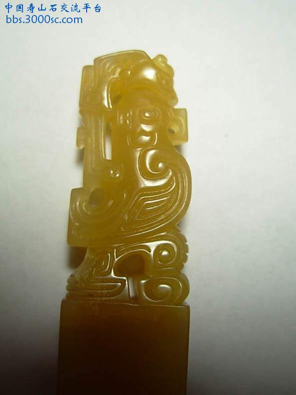 DSCN4989.jpg