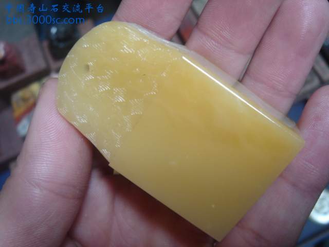 DSC04885.JPG
