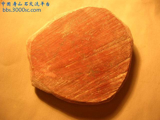 DSCN7713.JPG