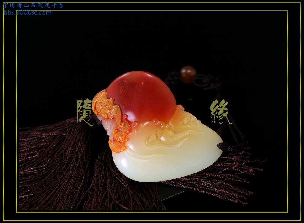 nEO_IMG_sy0035.jpg