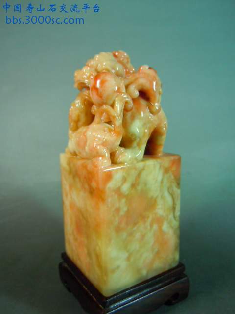 DSCN7364.JPG
