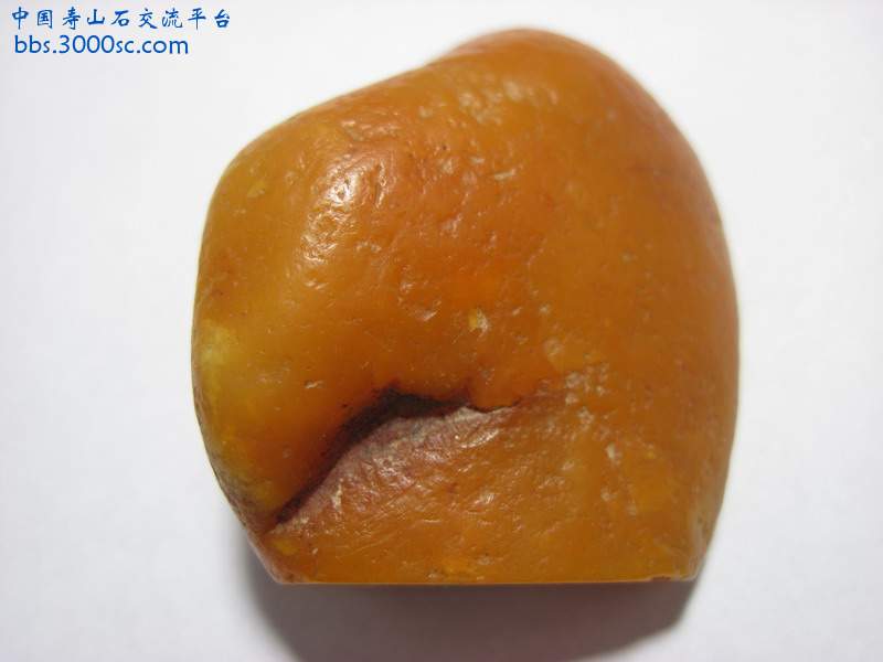 照片 718.jpg
