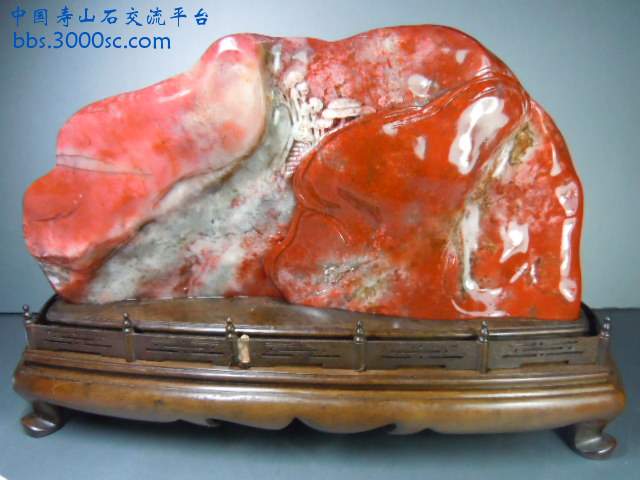 DSCN8498.JPG